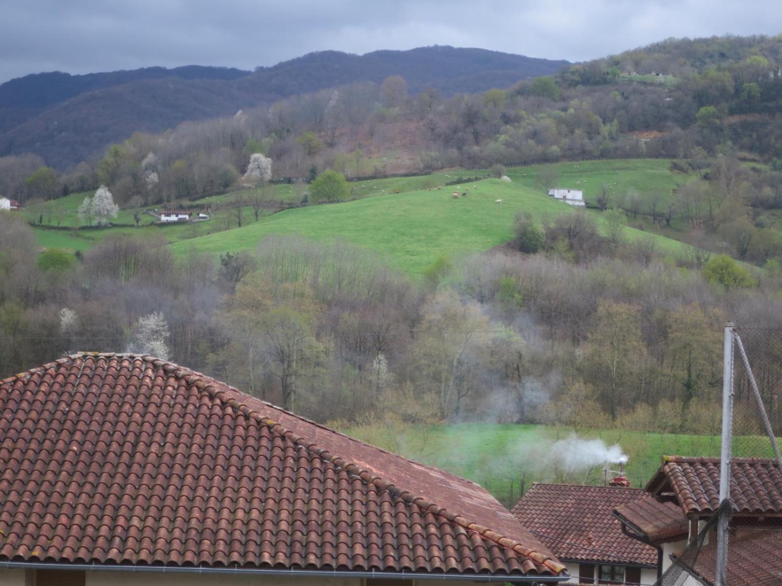 Posada De Oitz Oiz Kültér fotó